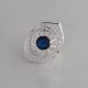 Anillo