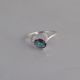 Anillo