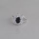 Anillo