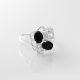 Anillo