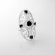 Anillo