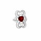 Anillo