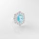Anillo