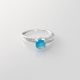 Anillo