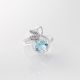 Anillo