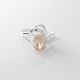 Anillo