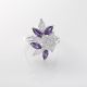 Anillo