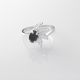 Anillo