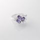Anillo
