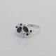 Anillo
