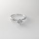 Anillo
