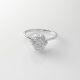 Anillo de Compromiso