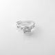 Anillo de Compromiso