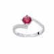 Anillo de Compromiso