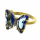 Anillo