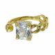 Anillo