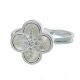 Anillo