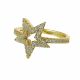 Anillo