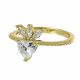 Anillo