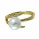 Anillo