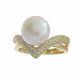 Anillo
