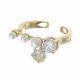 Anillo