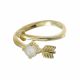 Anillo