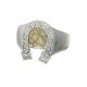 Anillo Oroplata