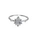 Anillo