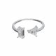 Anillo