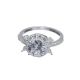 Anillo