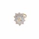 Anillo