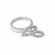 Anillo Giratorio