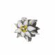Beads Dijes  Rodio