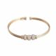Pulsera Rigida